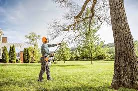 Best Tree Preservation Services  in Inkerman, PA